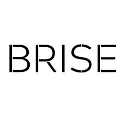 BRISE TASCHE